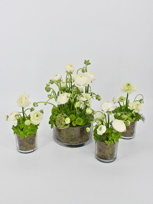 Asiaticus Garden Set