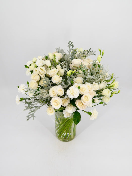 Polaris White Beauty