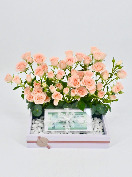 Sweet Money Arrangement