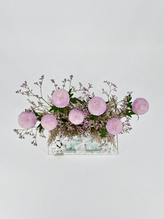 Chrysi Money Arrangement