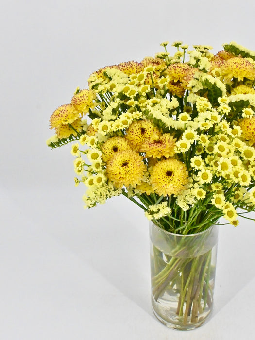 Yellowish