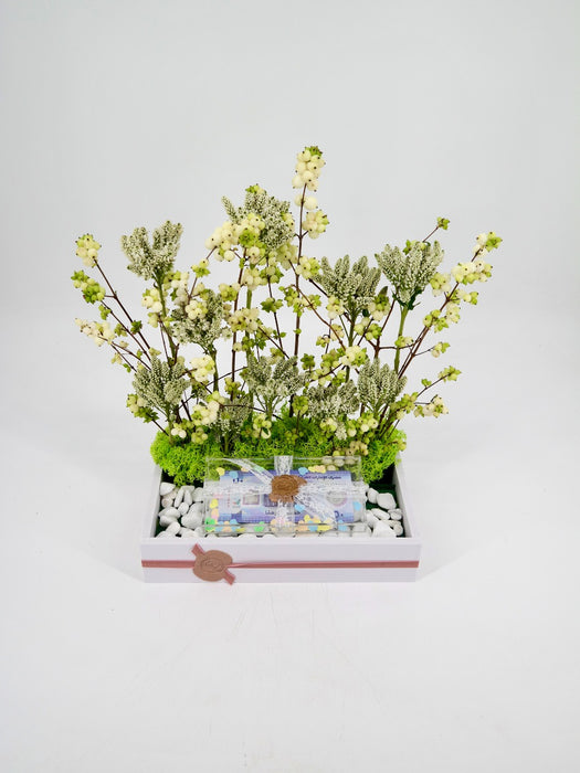 Snowberry Magical