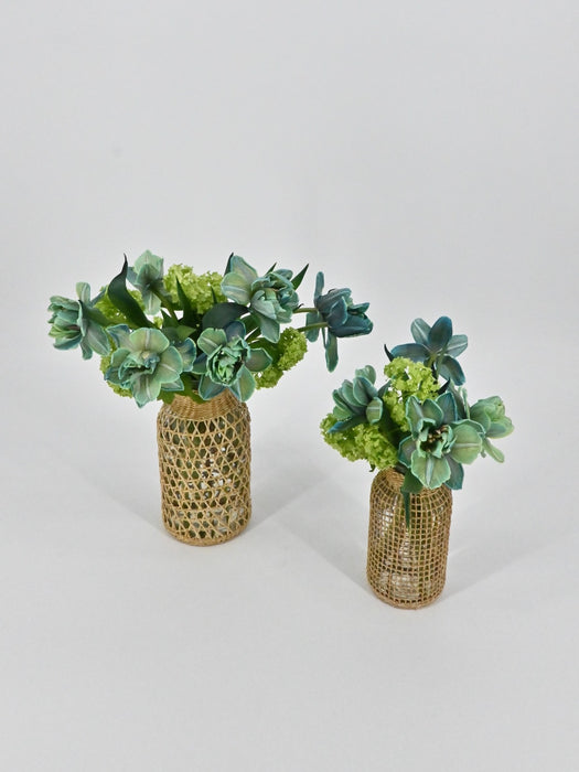 VIP Tulips Set
