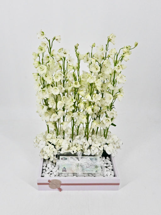 Delphy White Money Arrangement
