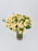 Sali Bloom