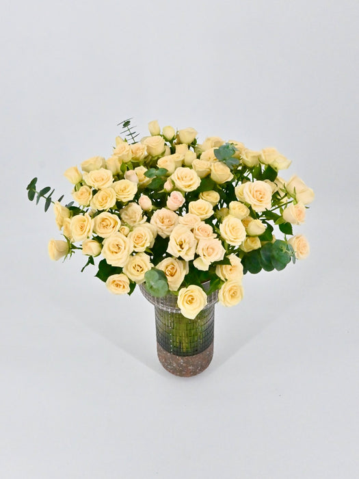 Sali Bloom