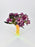 VIP Tulips