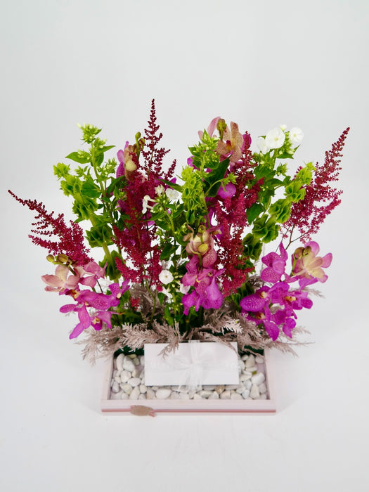 Vertical  Garden
