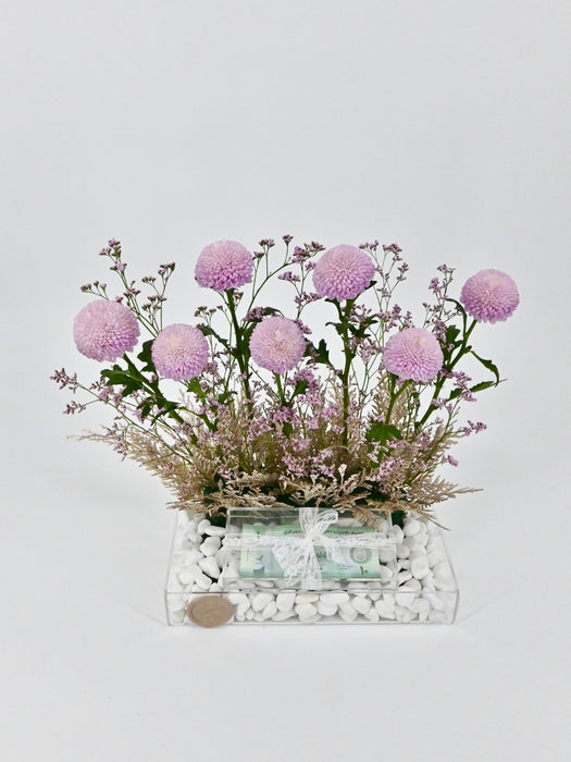 Chrysi Money Arrangement