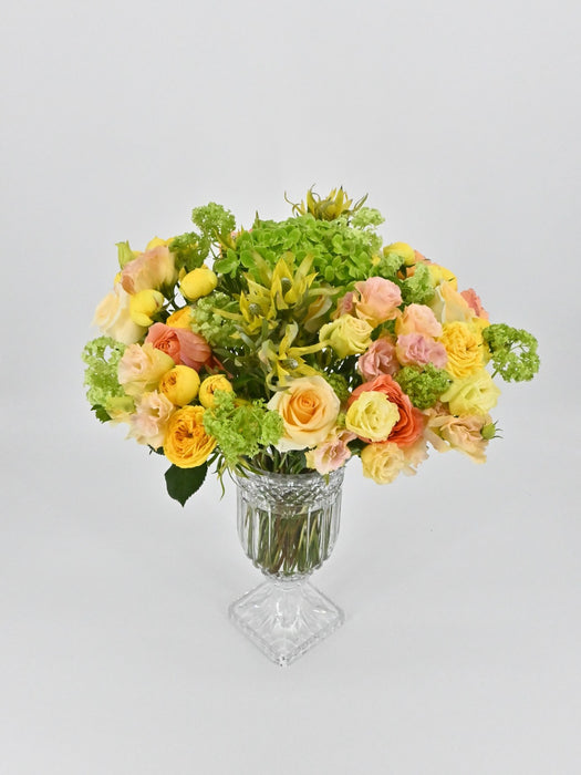 Eustoma Peach