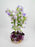 Campy Lavender