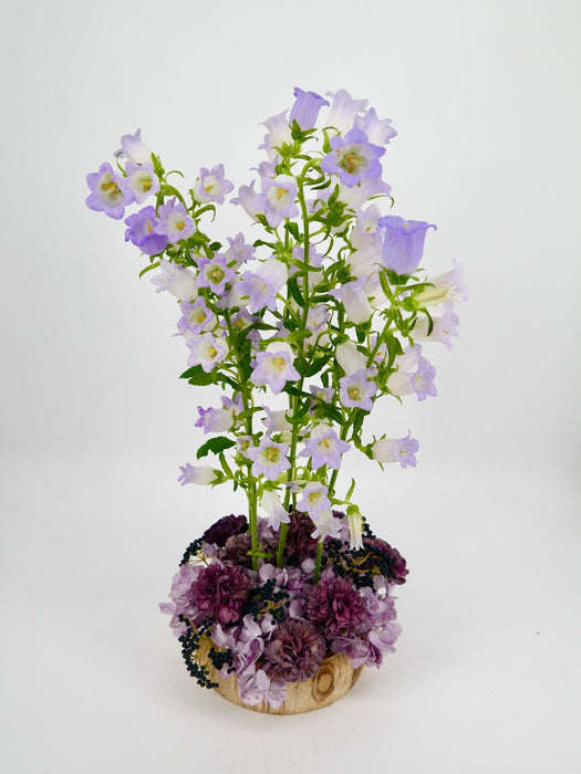 Campy Lavender