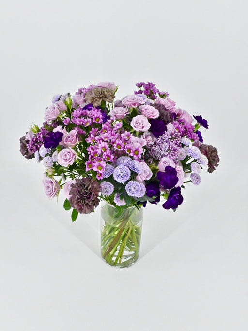 Syringa