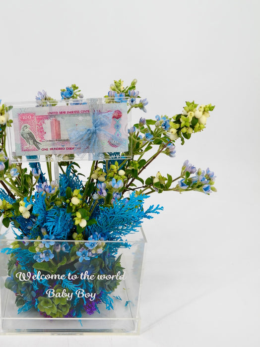 Oxy Baby Money Arrangement
