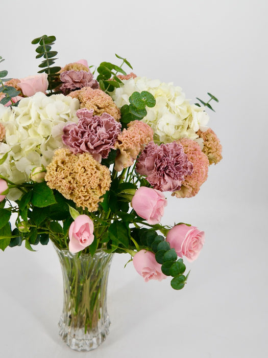 Celosia