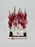 Astilbe