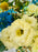 Aube Yellow Garden
