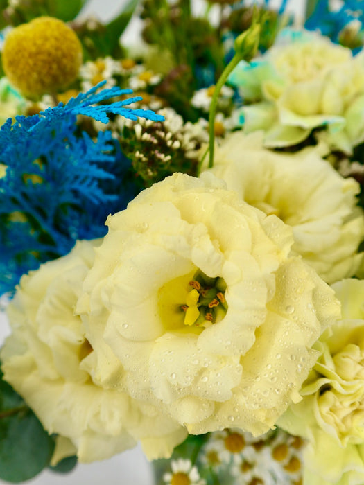 Aube Yellow Garden