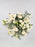Polaris White Beauty