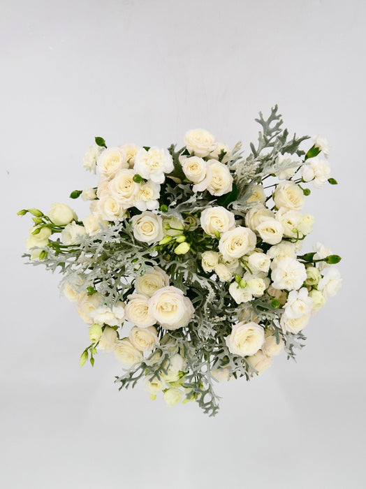 Polaris White Beauty