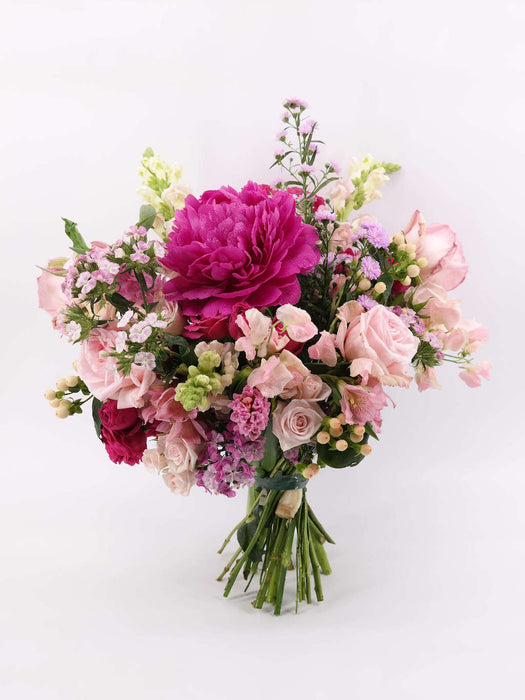 Berndhardt Cerise