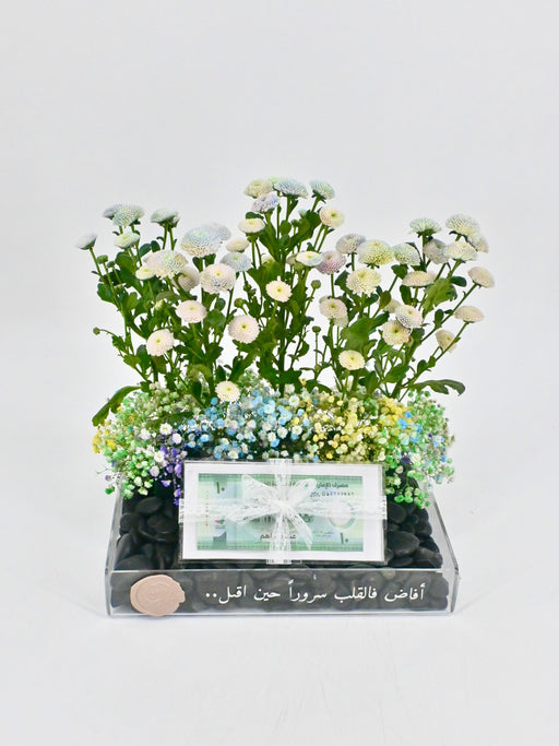 Rainbow Money Arrangement II