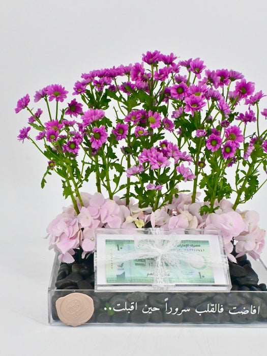Krissy Money Arrangement