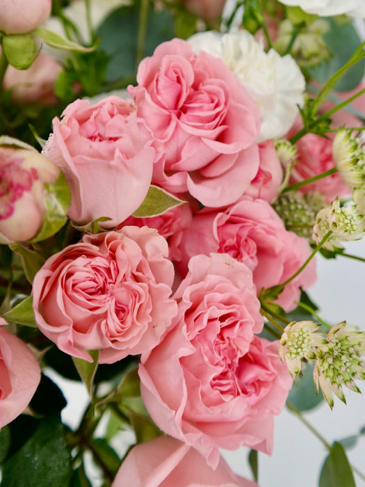 Pink Prana
