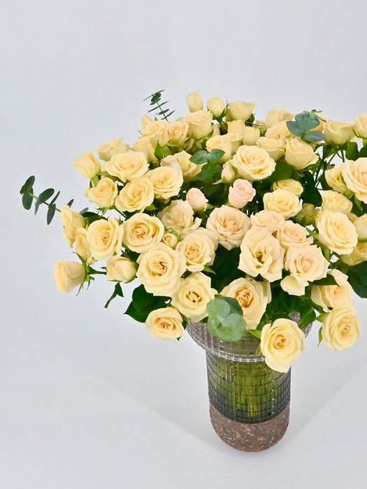 Sali Bloom