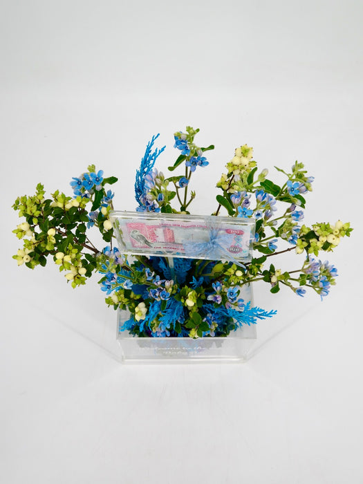 Oxy Baby Money Arrangement