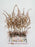 Preserved Astilbe