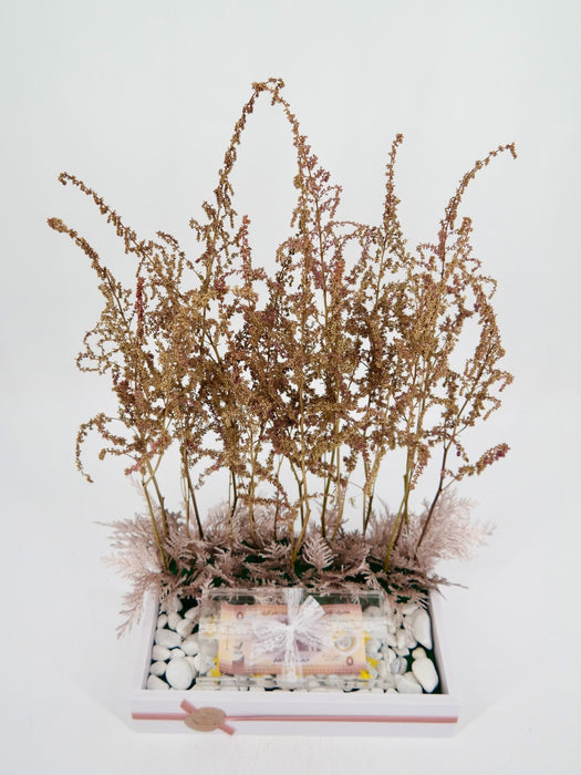 Preserved Astilbe