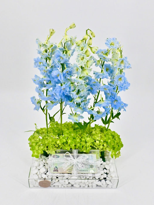 Dewi Boy Money Arrangement