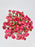 Raspberry
