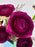 Ranunculus With Ramadan Kareem