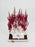 Astilbe