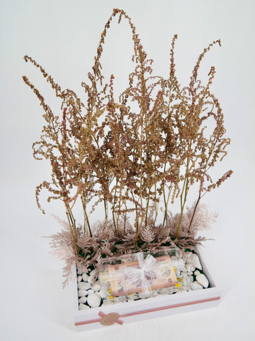 Preserved Astilbe
