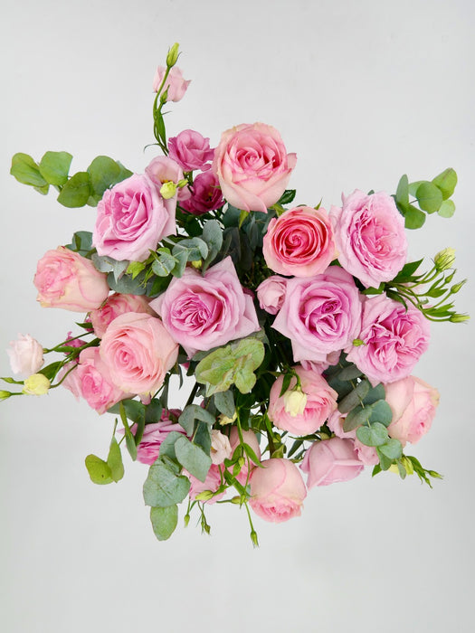 Ohara Pink Garden