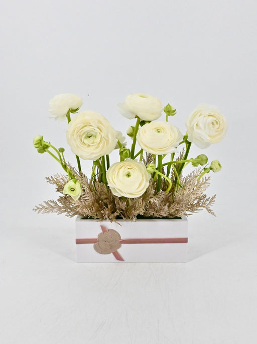 Ranunculus