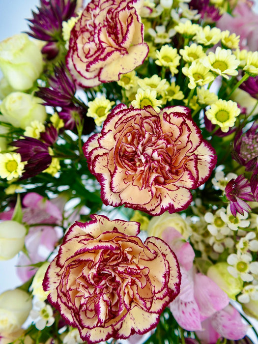 Bloosoming Garden