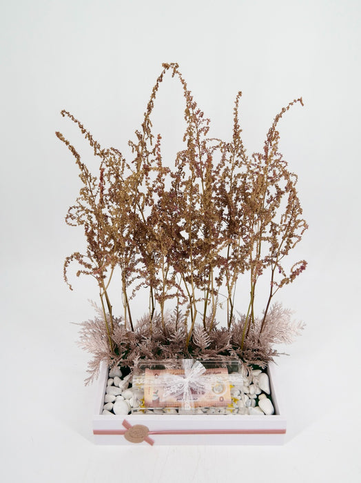 Preserved Astilbe