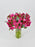 Pink Garden