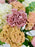 Celosia