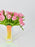 Double Pink Tulips