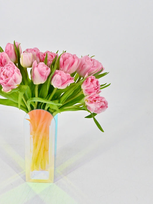 Double Pink Tulips