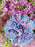 Vulgaris Tinted