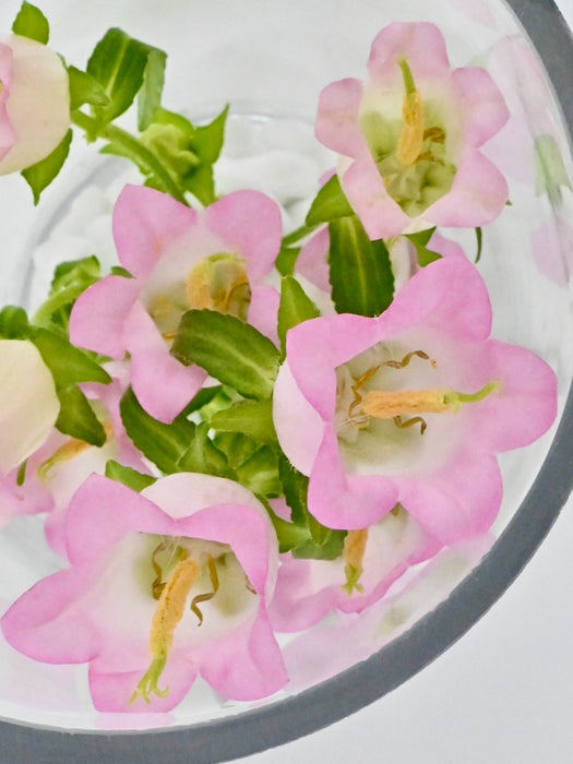 Campanula Vase Set