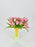 Double Pink Tulips