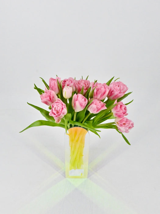 Double Pink Tulips