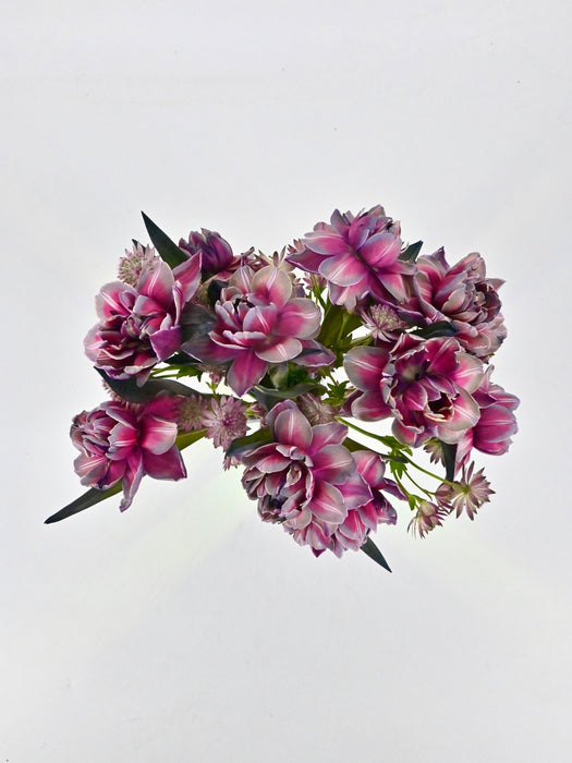 VIP Tulips